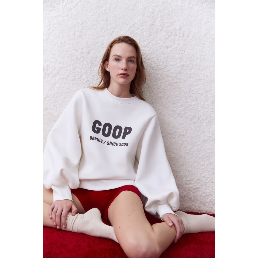 NWOT G. label by Goop bell sleeve sweater Wu Graphic Puff-Sleeve Pullover